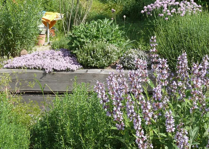 Landgrafen-muehle ホテル