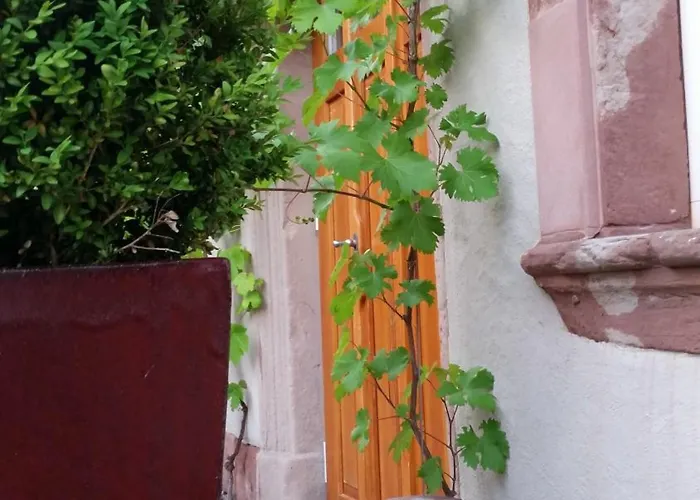 ホテル Landgrafen-muehle Wallhalben